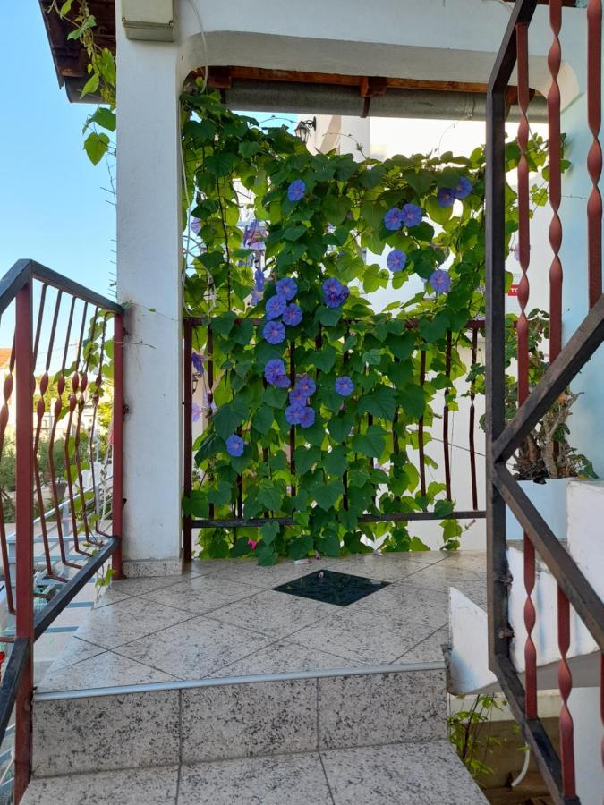 Eleni Apartment *
